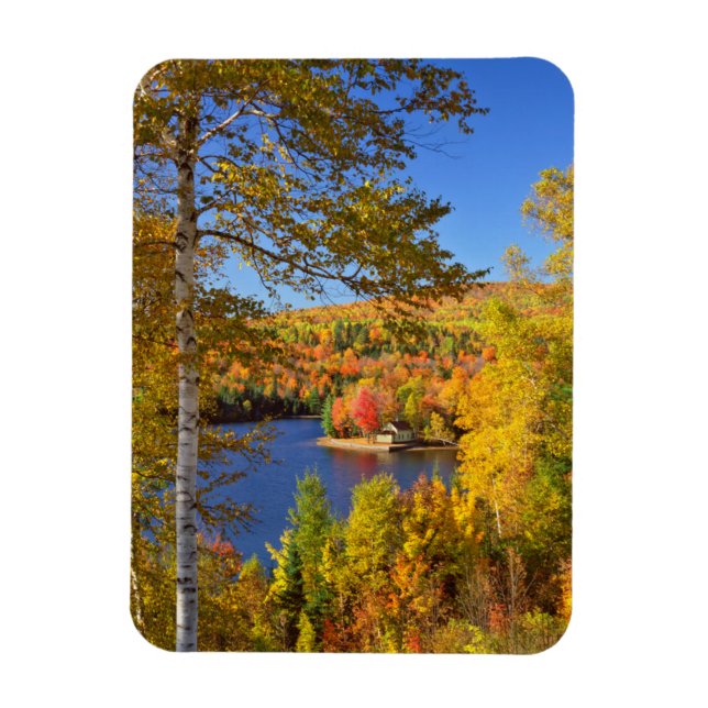 Autumn tree landscape, Maine Magnet (Vertical)
