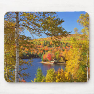 Autumn tree landscape, Maine Mouse Pad