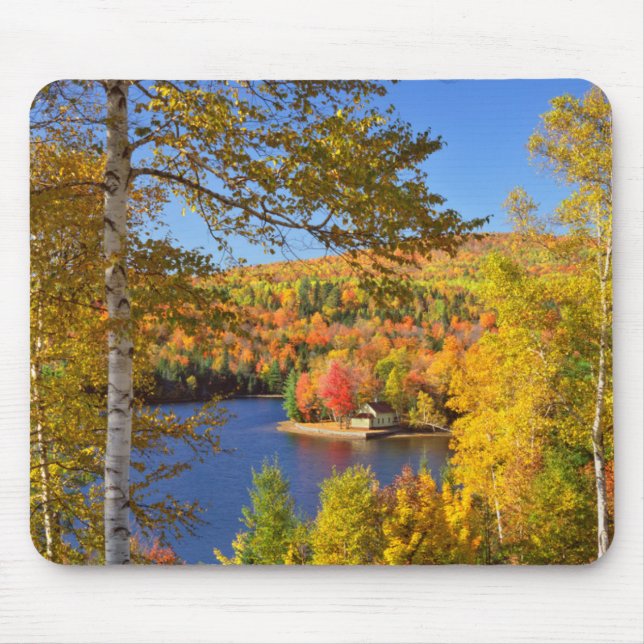 Autumn tree landscape, Maine Mouse Pad (Front)