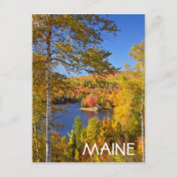 Autumn tree landscape, Maine