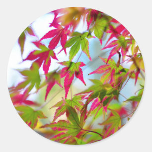 autumn tree leaf nature abstract detail background classic round sticker