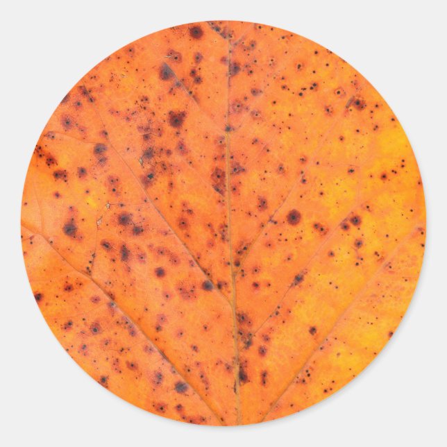 autumn tree leaf texture pattern background nature classic round sticker (Front)