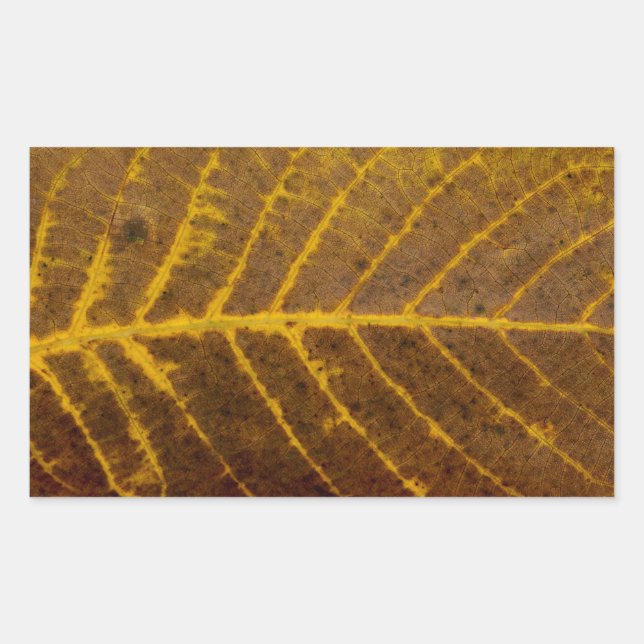 autumn tree leaf texture pattern background nature rectangular sticker (Front)