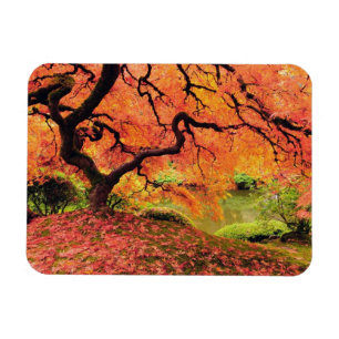 Autumn Tree Magnet