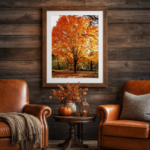 Autumn Tree, Maple Tree in Fall Poster