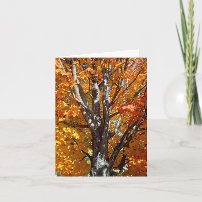 Autumn Tree Shadows Note Card (Front)