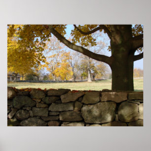 Autumn Tree & Wall Poster