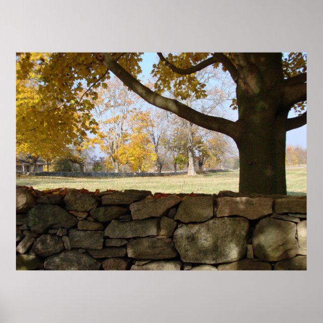 Autumn Tree & Wall Poster (Front)