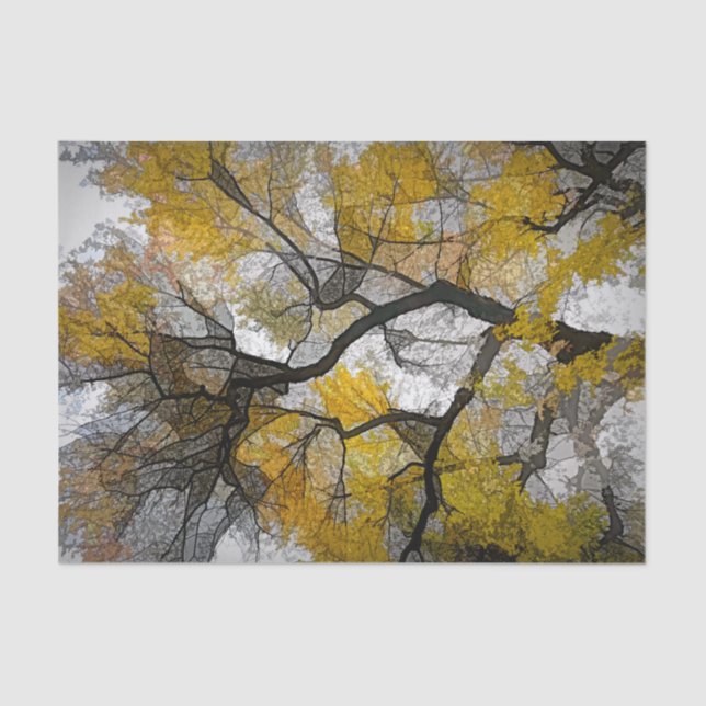 Autumn Tree Yellow Grey Leaves Sky Tissue Paper (Front)