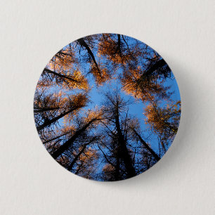 Autumn trees at  sunset 6 cm round badge