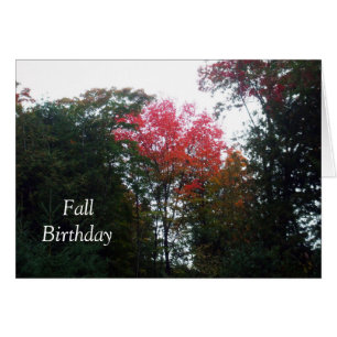 Autumn Trees-Fall Birthday Card