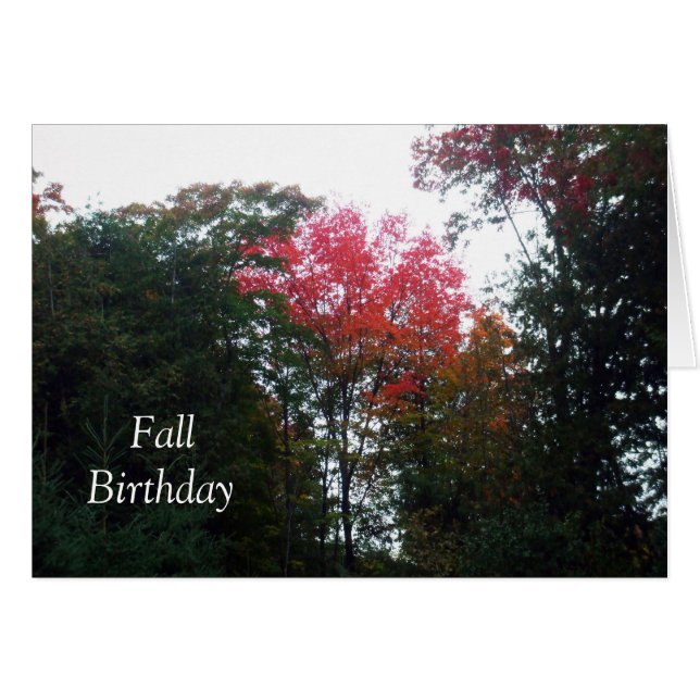 Autumn Trees-Fall Birthday Card (Front Horizontal)