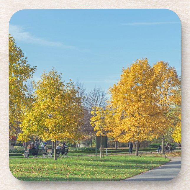 Autumn trees hard plastic coasters (Front)