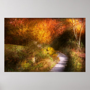 Autumn - Trees - Heaven's trail Poster
