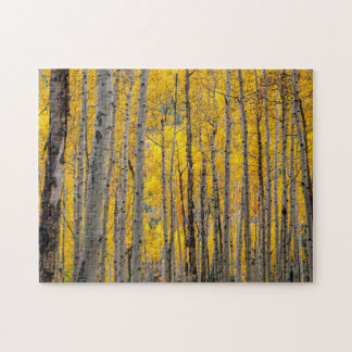 Autumn Trees Jigsaw Puzzle