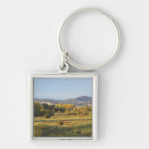 Autumn Trees, Khancoban, Snowy Mountains, New Key Ring
