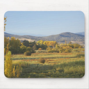 Autumn Trees, Khancoban, Snowy Mountains, New Mouse Pad