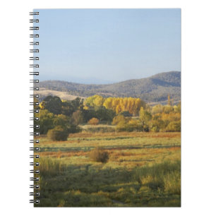 Autumn Trees, Khancoban, Snowy Mountains, New Notebook