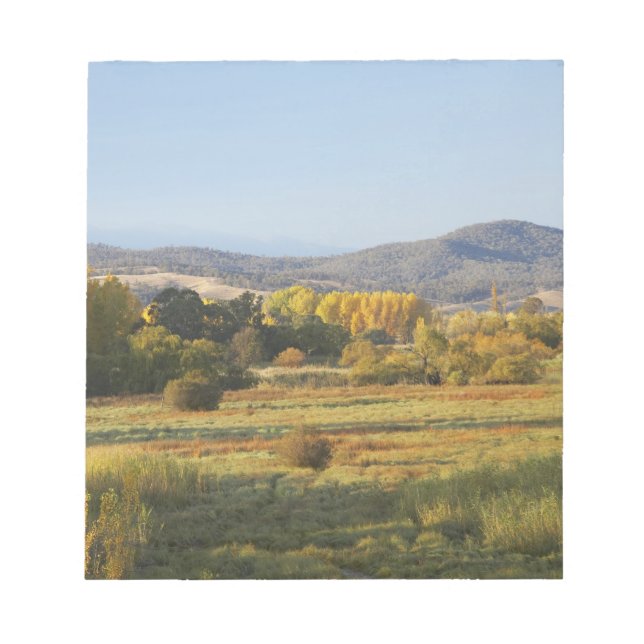 Autumn Trees, Khancoban, Snowy Mountains, New Notepad (Front)
