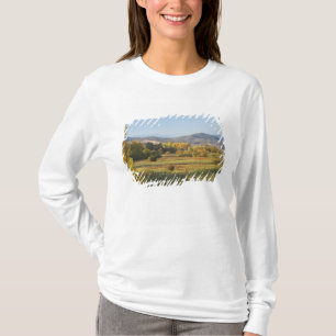 Autumn Trees, Khancoban, Snowy Mountains, New T-Shirt