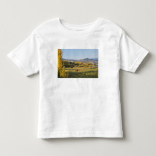 Autumn Trees, Khancoban, Snowy Mountains, New Toddler T-Shirt