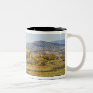 Autumn Trees, Khancoban, Snowy Mountains, New Two-Tone Coffee Mug