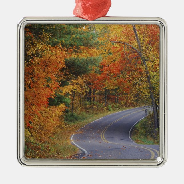 Autumn trees line roadway in Itasca State Park Metal Tree Decoration (Front)