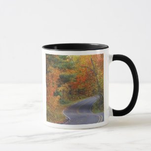 Autumn trees line roadway in Itasca State Park Mug