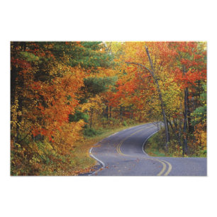 Autumn trees line roadway in Itasca State Park Photo Print