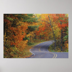 Autumn trees line roadway in Itasca State Park Poster