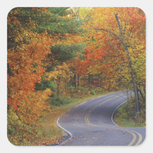 Autumn trees line roadway in Itasca State Park Square Sticker