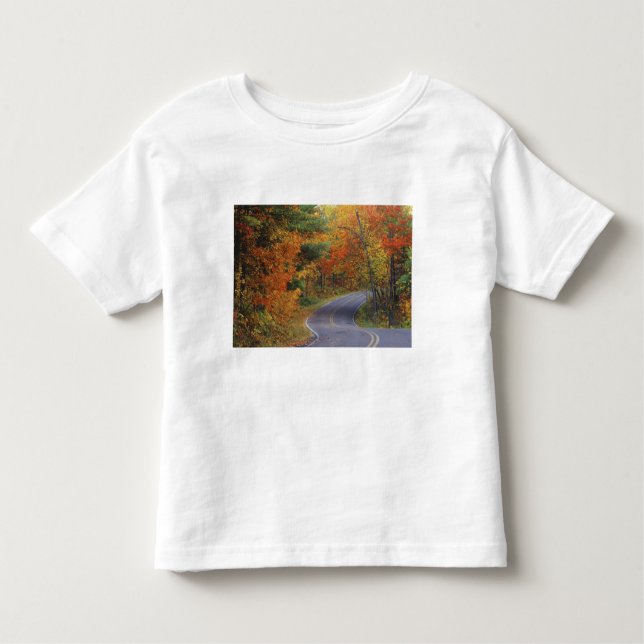 Autumn trees line roadway in Itasca State Park Toddler T-Shirt (Front)