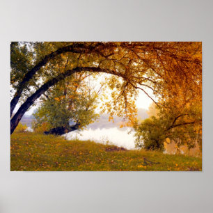 Autumn trees Misty lake Poster