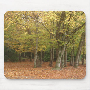 Autumn trees mouse pad