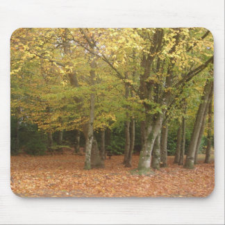 Autumn trees mouse pad