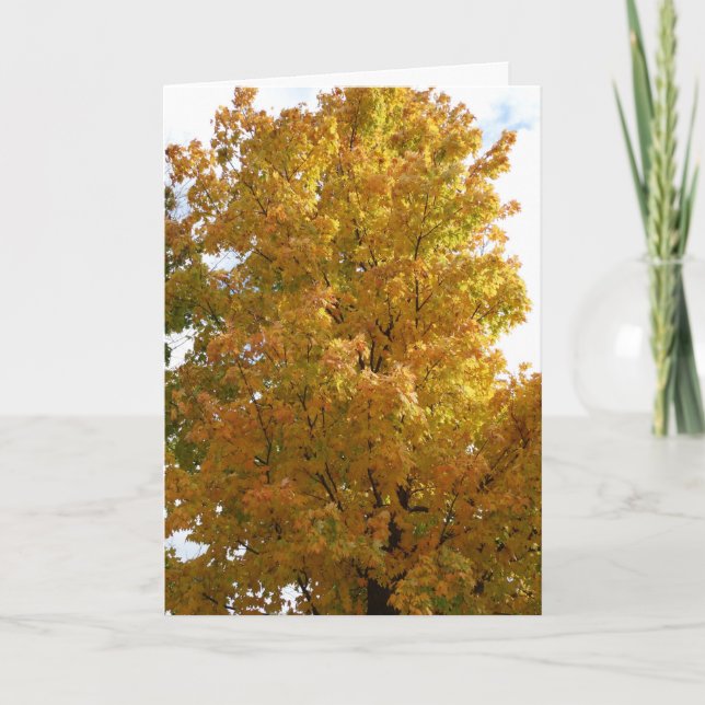 Autumn Trees, Old Friend Card (Front)