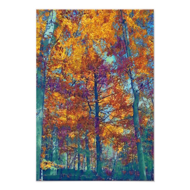 Autumn Trees Photo Print (Front)