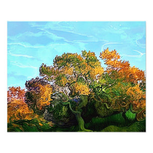 AUTUMN TREES PHOTO PRINT