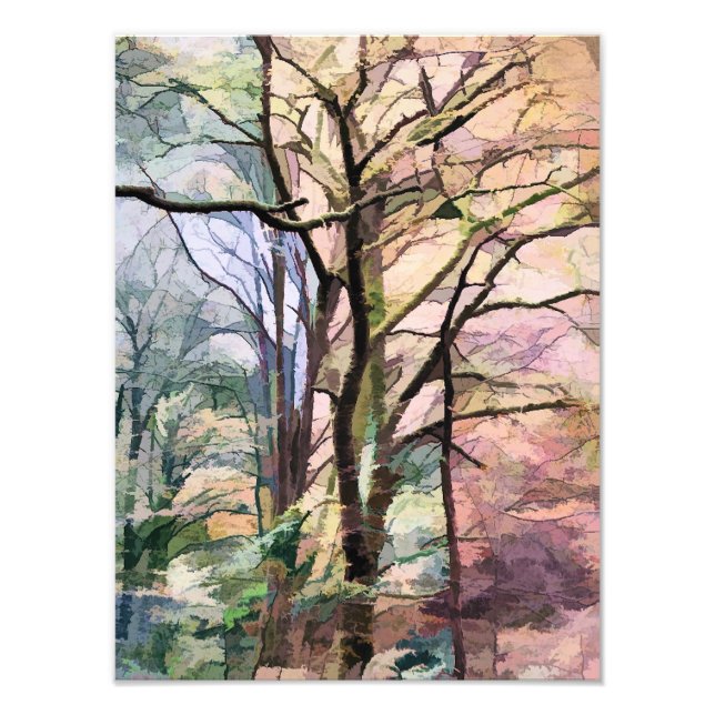 AUTUMN TREES PHOTO PRINT (Front)