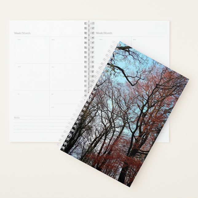 Autumn trees planner (Display)