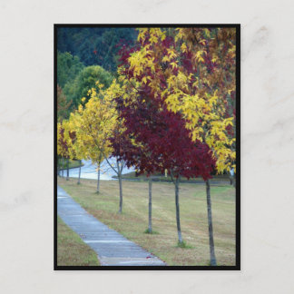 Autumn Trees Postcard