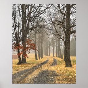 Autumn Trees Poster