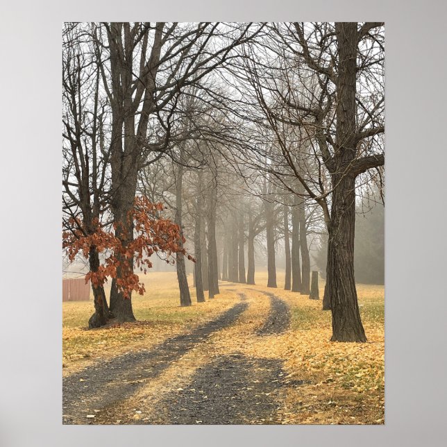 Autumn Trees Poster (Front)