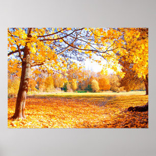 Autumn Trees Poster