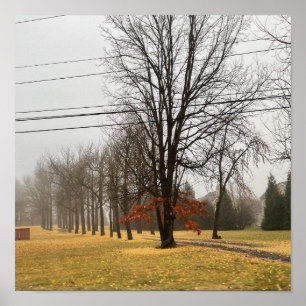 Autumn Trees Poster
