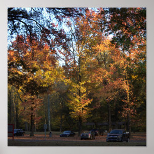 Autumn Trees Poster