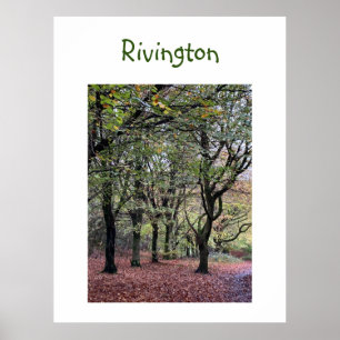 Autumn Trees Rivington   Poster