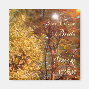 Autumn Trees Save-The-Date Magnet