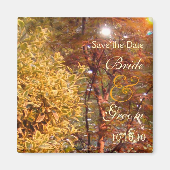 Autumn Trees Save-The-Date Magnet (Front)