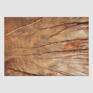Autumn Trees Vintage Brown Orange Woodland Forest Tissue Paper